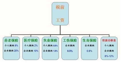 交保险是哪个部门（保险归哪个部门）